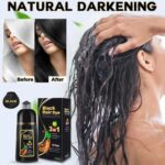 BTL Black Hair Dye Shampoo 3 in 1 for Gray Hair, Herbal Ingredients Shampoo Black Hair Dye for Women Men, Grey Coverage Shampoo 500ml - Image 6