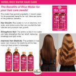 Difeel Rice Water Premium Hair Oil 2.5 oz. - Strengthening Rice Water Moisturizer for Hair - Image 7
